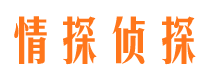 兰山市侦探公司